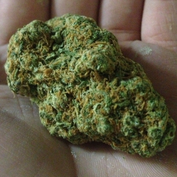green crack weed